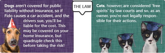 The law's different for cats and dogs