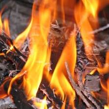 Pressure on energy firms to cut prices hots up