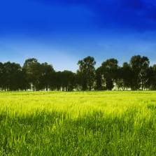 Green energy certificate scheme launched