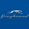 Greyhound Logo