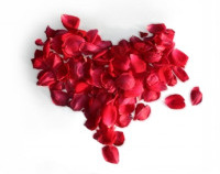 roseheart